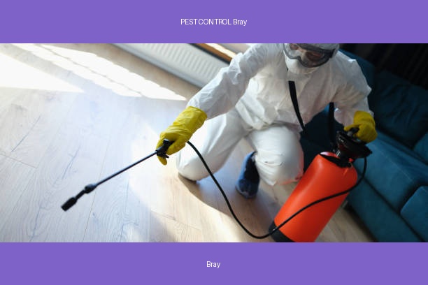 PEST CONTROL Bray